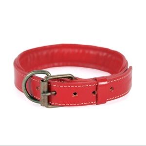 COPY - LOGICAL LEATHER PADDED DOG COLLAR